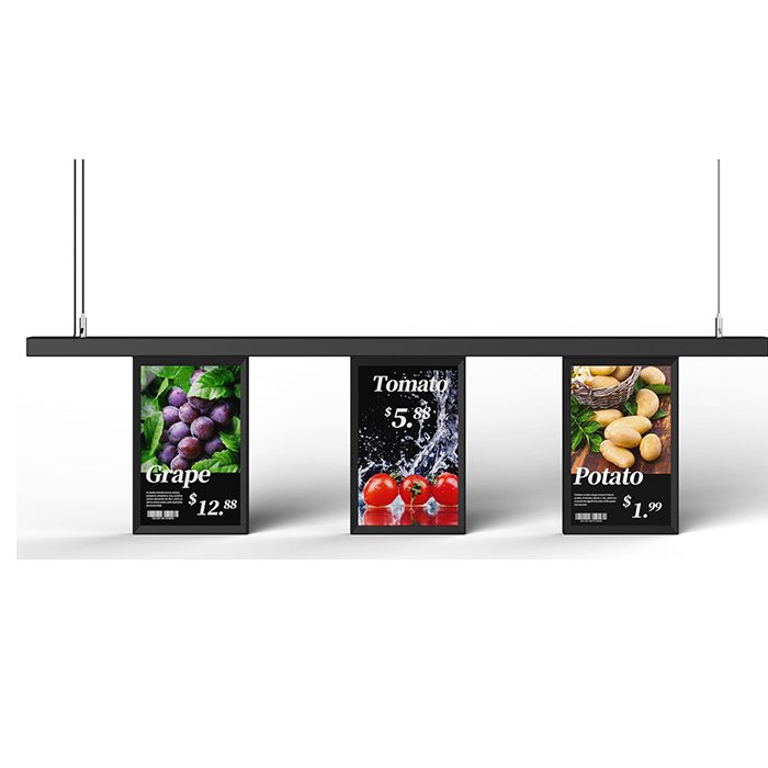 Écran unique 10,1 pouces Affichage LCD couleur
